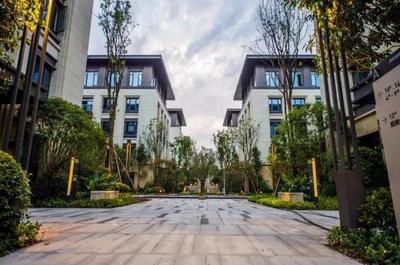 渝中区瞄准“互联网数据服务”新蓝海，擘画四年400亿大数据智能化产业蓝图